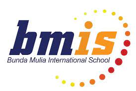 BMIS